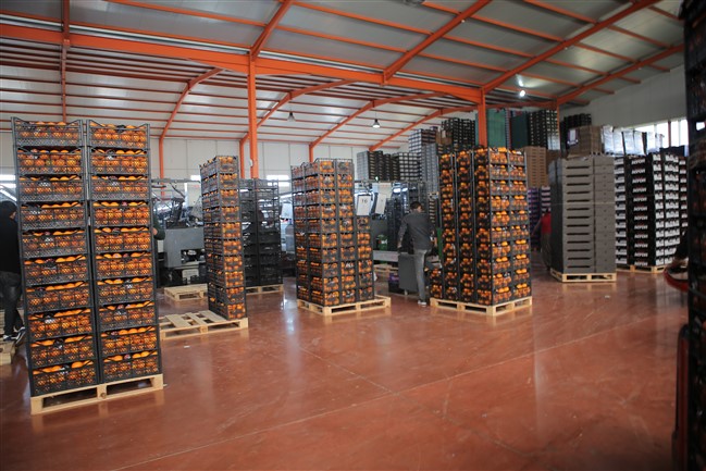 mersin (2)0c0e3d68-6b10-4812-9509-c1a76280bfa8.jpg